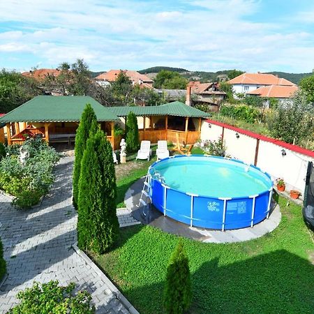 Pensiunea Mama Lia Haţeg Exterior foto